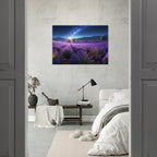 bd2d0549-8302-4cc0-88da-c91515005ebe