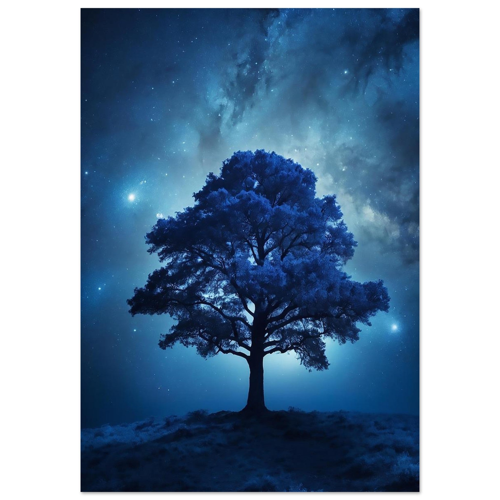 ca6360f2-52ef-4389-883e-bb881fd666e4